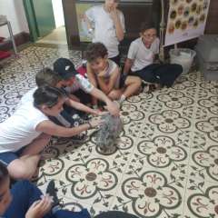 face_dts_fb
