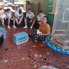 face_dts_fb