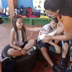 face_dts_fb