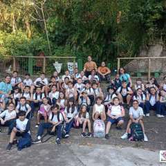 face_dts_fb