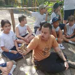 face_dts_fb