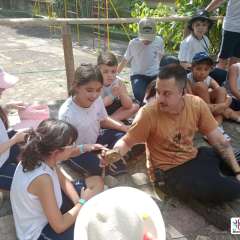 face_dts_fb