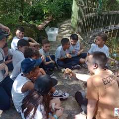 face_dts_fb