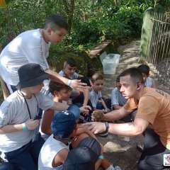 face_dts_fb