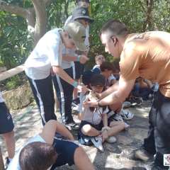 face_dts_fb