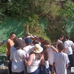 face_dts_fb