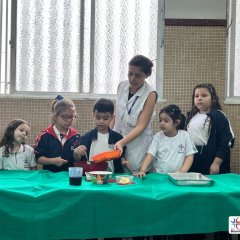 2023-consoante-b-pre2-pioxi-4