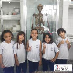 2024-ciencias-ef2-pioxi-3