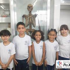 2024-ciencias-ef2-pioxi-4