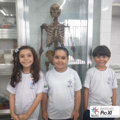 2024-ciencias-ef2-pioxi-5