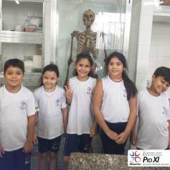 2024-ciencias-ef2-pioxi-6