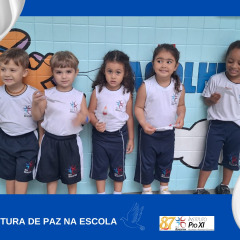 pioxi-cultura-paz-8