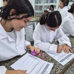 2026-8ano-instituto-pioxi-ramos-rj-1-1