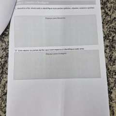 2026-8ano-instituto-pioxi-ramos-rj-10-1