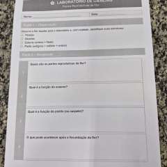 2026-8ano-instituto-pioxi-ramos-rj-14-1