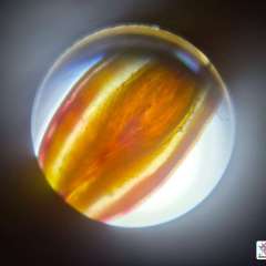 2026-8ano-instituto-pioxi-ramos-rj-2-1