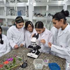 2026-8ano-instituto-pioxi-ramos-rj-4-1