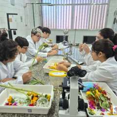 2026-8ano-instituto-pioxi-ramos-rj-6-1