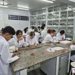 2026-8ano-instituto-pioxi-ramos-rj-9-1