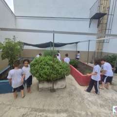 2026-pre2-instituto-pioxi-ramos-rj-2