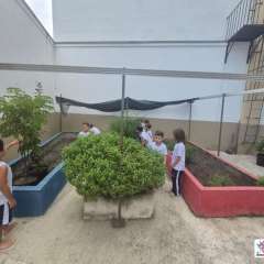 2026-pre2-instituto-pioxi-ramos-rj-3