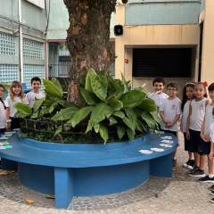 2024-arvores-ef1-pioxi-1
