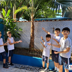 2024-dia-meio-ambiente-ef4-pioxi-6