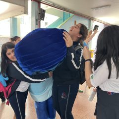 IMG_9961_resultado-scaled