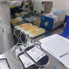 2024-doacao-sangue-3ano-em-pioxi-1