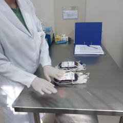 2024-doacao-sangue-3ano-em-pioxi-6
