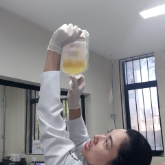 2024-doacao-sangue-3ano-em-pioxi-7