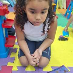 2025-1ano-instituto-pioxi-ramos-6