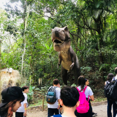 2024-dino-pioxi-22