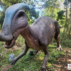 2024-dino-pioxi-3