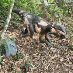 2024-dino-pioxi-4