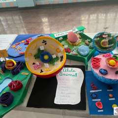 2026-6ano-instituto-pioxi-ramos-rj-10-1