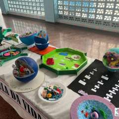 2026-6ano-instituto-pioxi-ramos-rj-11-1