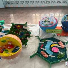 2026-6ano-instituto-pioxi-ramos-rj-12