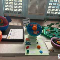 2026-6ano-instituto-pioxi-ramos-rj-15