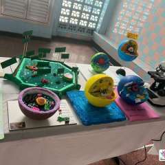 2026-6ano-instituto-pioxi-ramos-rj-16