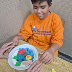 2026-6ano-instituto-pioxi-ramos-rj-2-2