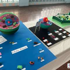 2026-6ano-instituto-pioxi-ramos-rj-5-2