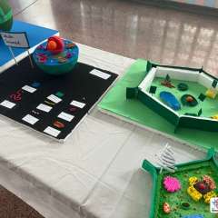 2026-6ano-instituto-pioxi-ramos-rj-6-2