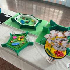 2026-6ano-instituto-pioxi-ramos-rj-7-2