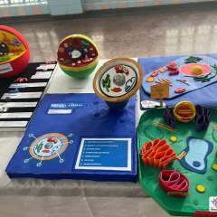 2026-6ano-instituto-pioxi-ramos-rj-9-1