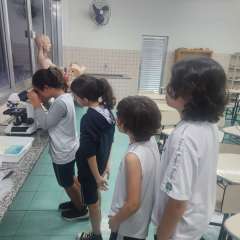 2026-6ano-instituto-pioxi-ramos-rj-10