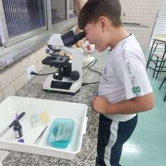 2026-6ano-instituto-pioxi-ramos-rj-3