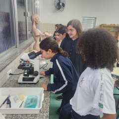 2026-6ano-instituto-pioxi-ramos-rj-6