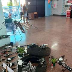 2025-expoliteraria-instituto-pioxi-ramos-59