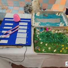 2025-ciencias-instituto-pioxi-ramos-14